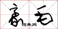 朱锡荣豪毛草书怎么写