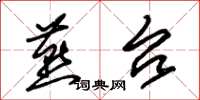 朱锡荣燕台草书怎么写