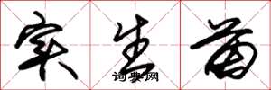 朱锡荣实生苗草书怎么写