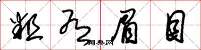 朱锡荣粗有眉目草书怎么写