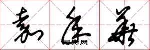 朱锡荣嘉年华草书怎么写
