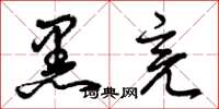 曾庆福黑亮草书怎么写