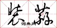 曾庆福装蒜草书怎么写