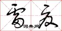 曾庆福雷夏草书怎么写