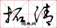 曾庆福拓清草书怎么写