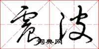 曾庆福震波草书怎么写