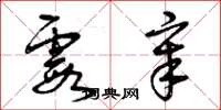 曾庆福霞章草书怎么写