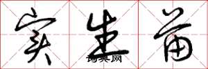 曾庆福实生苗草书怎么写