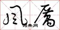 曾庆福風厲草书怎么写