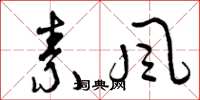 曾庆福素风草书怎么写