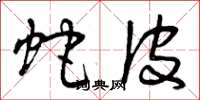 曾庆福蛇皮草书怎么写
