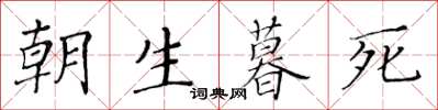 黄华生朝生暮死楷书怎么写