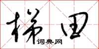 梁锦英梯田草书怎么写