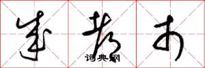 梁锦英成都市草书怎么写