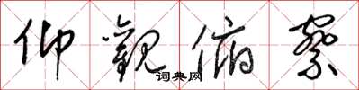 梁锦英仰观俯察草书怎么写