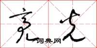梁锦英亮光草书怎么写