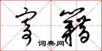 梁锦英寄籍草书怎么写