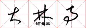 梁锦英大林寺草书怎么写