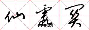 梁锦英仙霞关草书怎么写