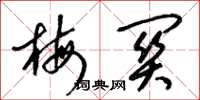 梁锦英梅关草书怎么写