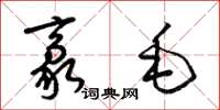梁锦英豪毛草书怎么写