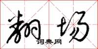 梁锦英翻场草书怎么写