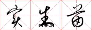 梁锦英实生苗草书怎么写