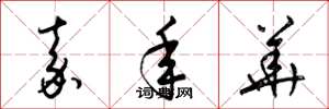 梁锦英嘉年华草书怎么写
