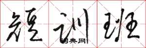 骆恒光短训班草书怎么写