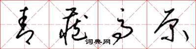 梁锦英青藏高原草书怎么写