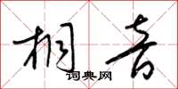 梁锦英桐音草书怎么写