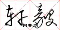 骆恒光轩毅草书怎么写