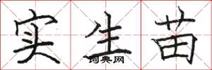 骆恒光实生苗楷书怎么写