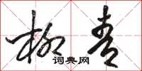 骆恒光柳青草书怎么写