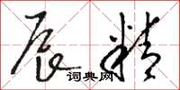 骆恒光辰精草书怎么写
