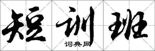 胡问遂短训班行书怎么写