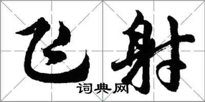 胡问遂飞射行书怎么写