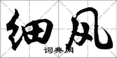 胡问遂细风行书怎么写