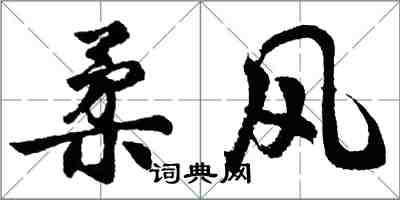 胡问遂柔风行书怎么写