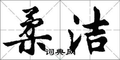 胡问遂柔洁行书怎么写