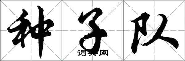 胡问遂种子队行书怎么写