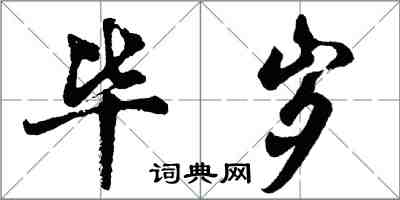 胡问遂毕岁行书怎么写
