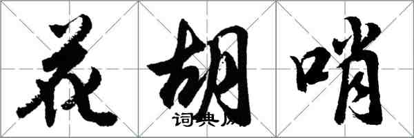 胡问遂花胡哨行书怎么写