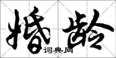 胡问遂婚龄行书怎么写