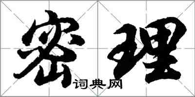胡问遂密理行书怎么写