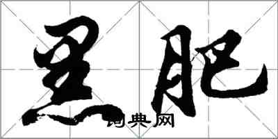胡问遂黑肥行书怎么写