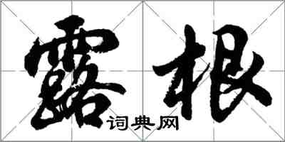 胡问遂露根行书怎么写