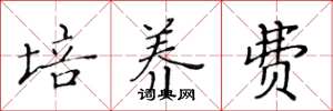 黄华生培养费楷书怎么写