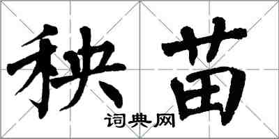 翁闿运秧苗楷书怎么写
