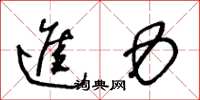 王冬龄进力草书怎么写